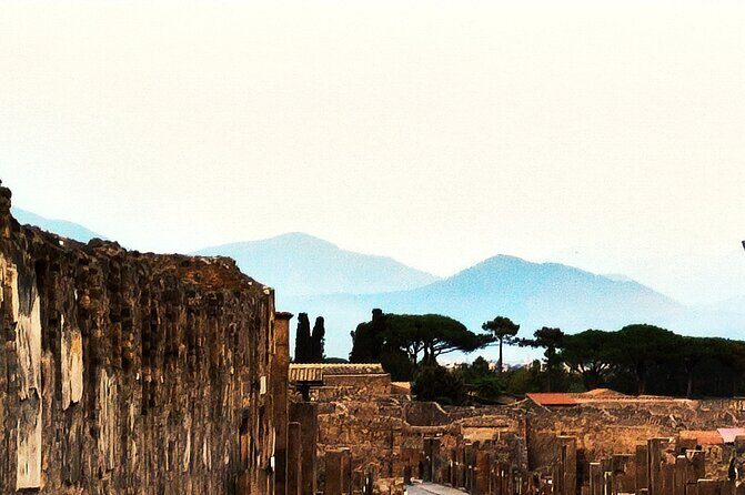 2 Hours Private Tour in Pompeii with Archaeologist - Palestra Grande: the largest gymnasium and what it tells you