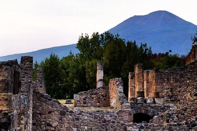 2 Hours Private Tour in Pompeii with Archaeologist - Orto dei Fuggiaschi: the eruption story grounded in real evidence