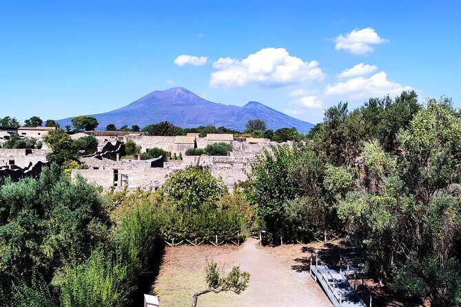 2 Hours Private Tour in Pompeii with Archaeologist - Price and value for a private Pompeii archaeologist tour