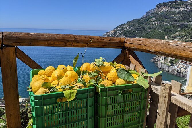 Amalfi Coast - Maiori: Path of Lemons Tour with Tasting - The Real Hook: A Lemons Trail With Views That Earn Their Place