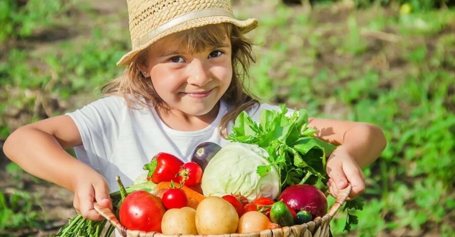 Amalfi: Cooking Class and Farmhouse Visit With Meal - Amalfi Heaven Gardens: why your day starts with the farm