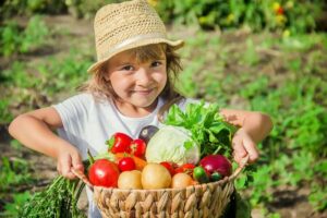 Amalfi: Cooking Class and Farmhouse Visit With Meal - Terraced lemons, olives, and vineyard notes that guide your cooking