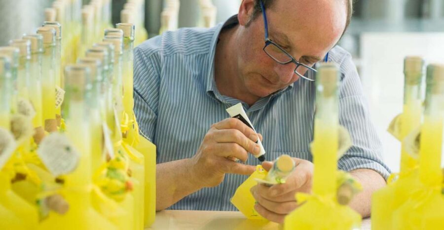 Amalfi: Vertical Lemon Farm Tour, Tastings, and Rural Museum - Key highlights worth penciling in