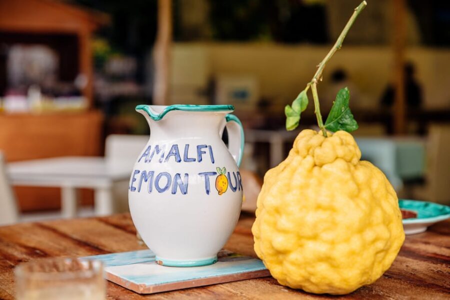 Amalfi: Vertical Lemon Farm Tour, Tastings, and Rural Museum - The Tasting Stop: Lemon Cake, Lemonade, and Limoncello