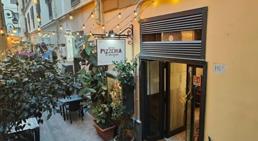 Authentic Neapolitan Pizza Lesson - Neapolitan Pizza Lesson in Campania: The Value Behind That $77 Price