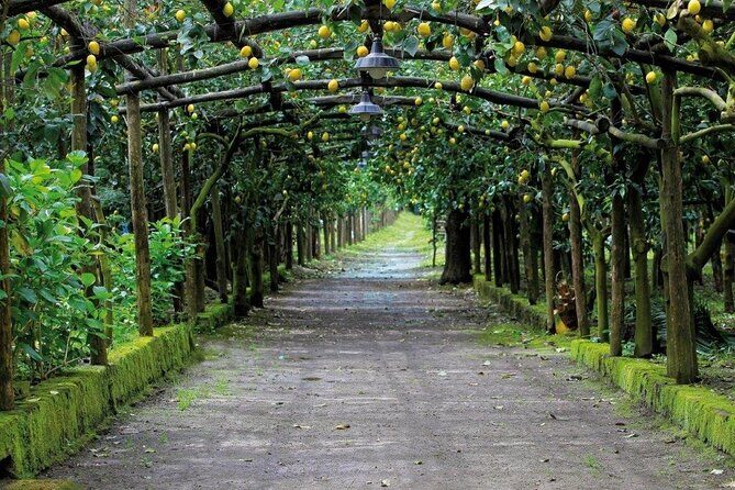 Backroads & Limoncello Experience: Sorrento E-Bike Tour - The Real Value: What You Get for the Price