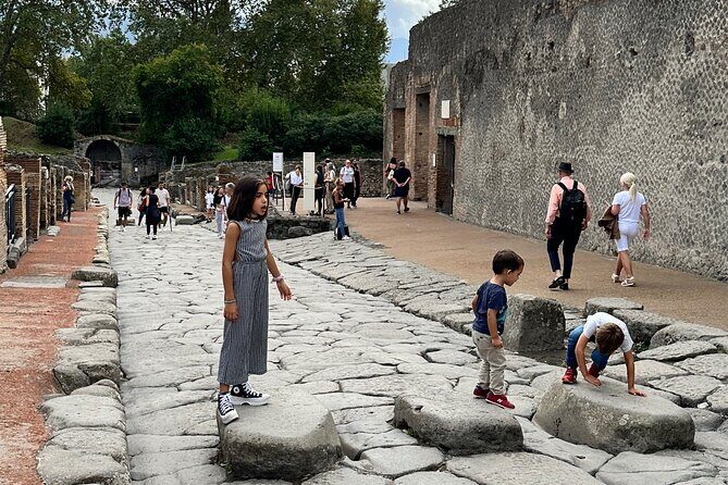 Best Pompeii Private Tour from Naples Port or Hotel Pick Up - Price and Value: Is $422.32 Worth It?