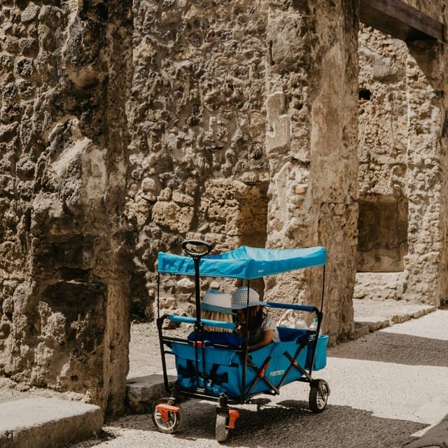 Discover Pompeii: French Walking Tour of the Buried City - Key highlights to look for