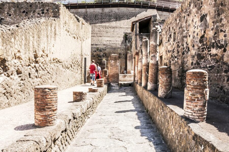 Ercolano: Herculaneum Entry Ticket with Optional Audio Guide - Key takeaways at a glance
