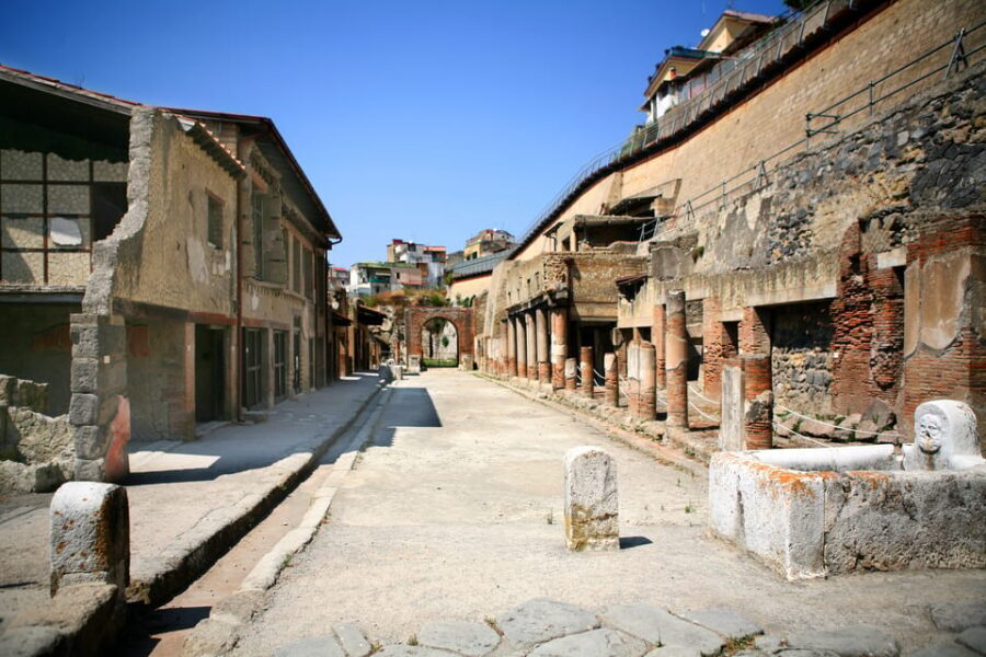 Ercolano: Herculaneum Entry Ticket with Optional Audio Guide - Frescoes, artifacts, and the 79 AD story in human terms