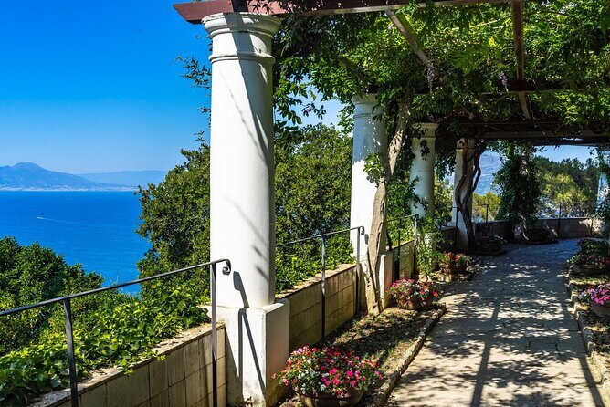 Exclusive Capri, Anacapri & Blue Grotto Private Tour from Naples - Marina Grande and heading back to Naples