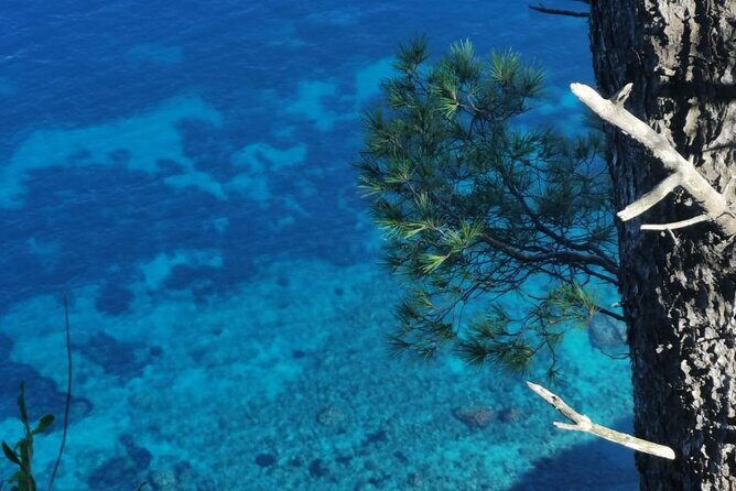 Exclusive Private Boat Tour to capri & Amalfi coast from Sorrento - Lunch and Wandering: What Your 3 Hours on Capri Can Look Like