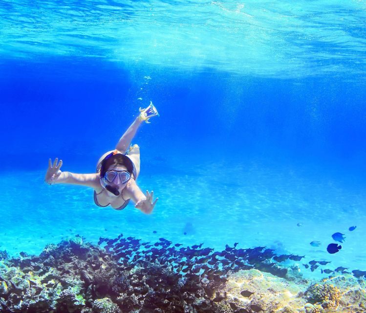 From Amalfi: Capri Island Boat Tour with Snorkeling & Drinks - Key things that make this Amalfi-to-Capri tour worth it