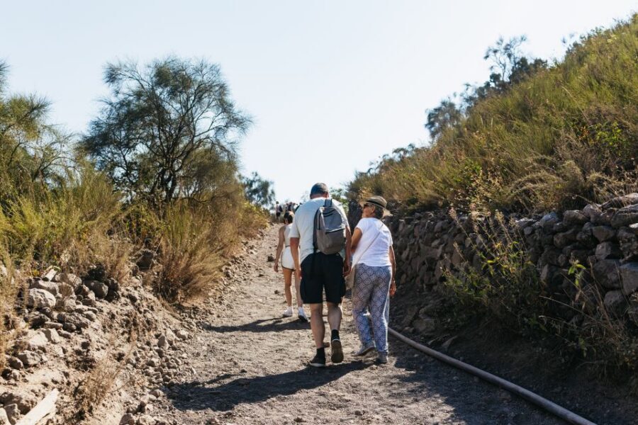 From Naples: All-Inclusive Mount Vesuvius Half-Day Tour - The mini stops: snacks, souvenir stands, and the on-mountain reality