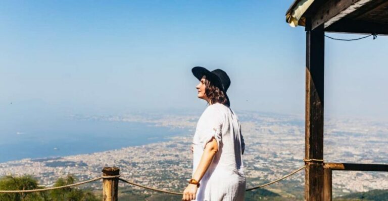 From Naples: All-Inclusive Mount Vesuvius Half-Day Tour - The climb plan: national park hike at your own pace