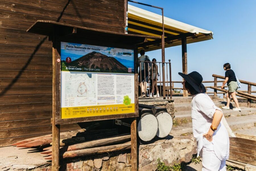 From Naples: All-Inclusive Mount Vesuvius Half-Day Tour - Should you book this Vesuvius half-day tour?