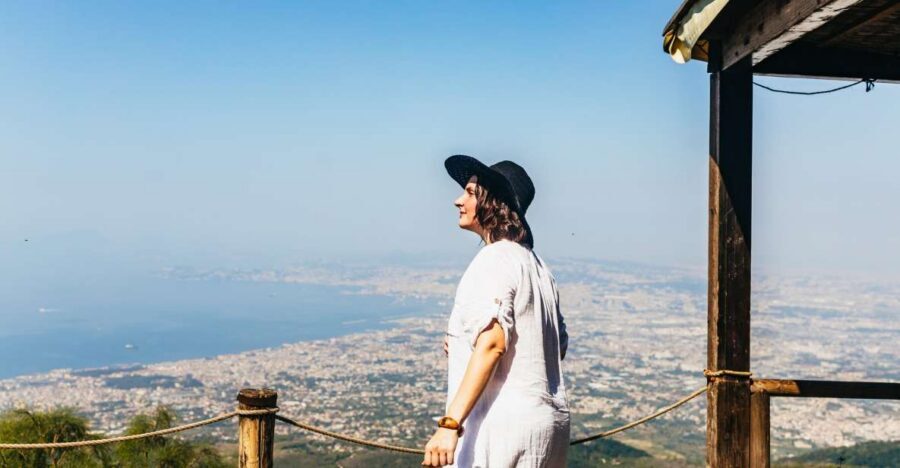 From Naples: All-Inclusive Mount Vesuvius Half-Day Tour - The climb plan: national park hike at your own pace