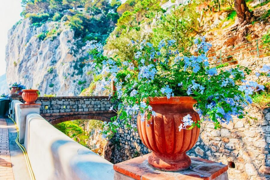 From Naples: Capri and Blue Grotto Day Tour - Key highlights to know before you go