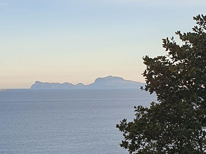From Naples: Capri Day Trip with Lunch - Anacapri Free Time: A Real Chance to Breathe