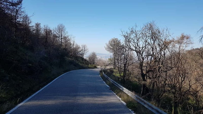 From Naples: Day Trip to Mount Vesuvius - Timing and weather: the part you should treat as variable