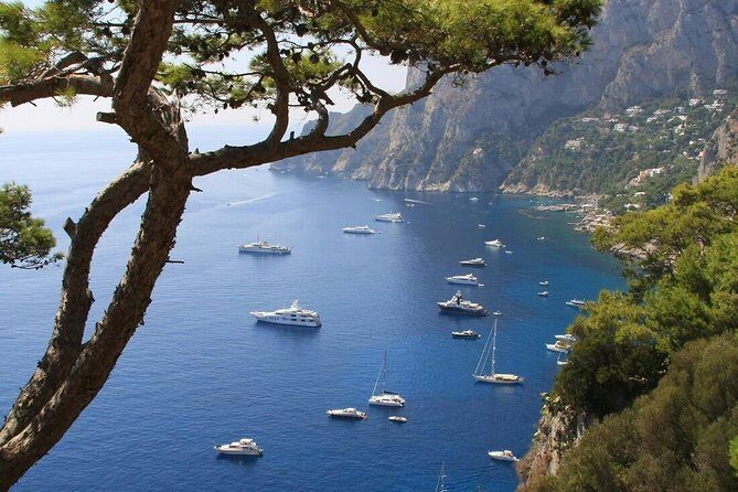 From Naples: Full-Day Capri Island and Blue Grotto Tour - Capri Port and Town Time: What You’ll See During the Guided Portion