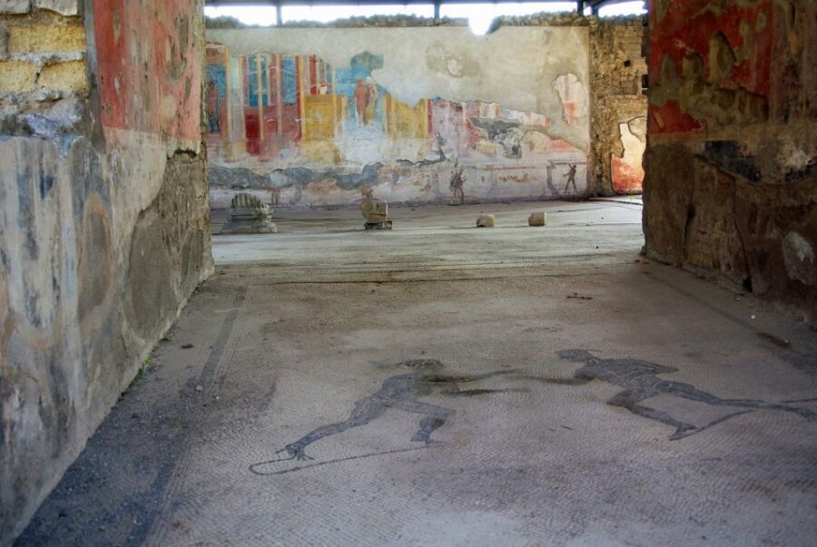 From Naples: Herculaneum, Mount Vesuvius & Pompeii Day Trip - My Booking Checklist for Vesuvius and Pompeii Tickets