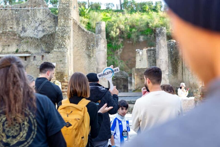 From Naples: Herculaneum Skip-the-Line Guided Tour - Key reasons this Herculaneum tour is worth it