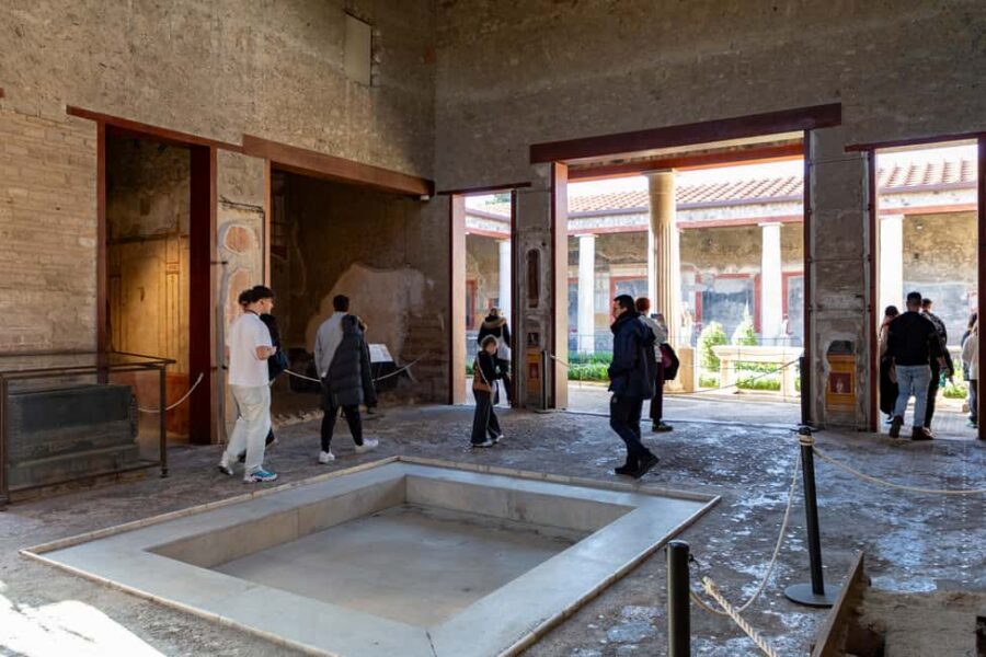 From Naples: Herculaneum Skip-the-Line Guided Tour - Price and value: is $63 a fair deal from Naples?