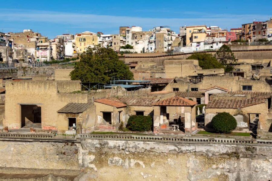 From Naples: Herculaneum Skip-the-Line Guided Tour - Herculaneum in 3 hours: the Roman town that looks frozen in time