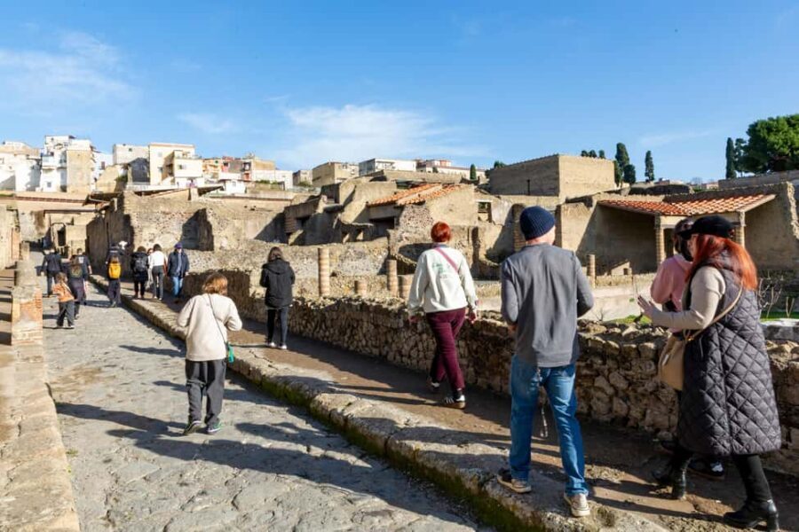 From Naples: Herculaneum Skip-the-Line Guided Tour - Skip-the-line entry: why it matters more than you think