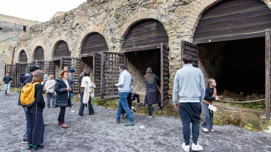 From Naples: Herculaneum Skip-the-Line Guided Tour - Your archaeologist guide: what the 1.5-hour walk is really for