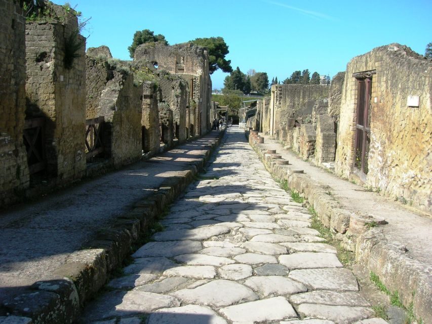 From Naples: Herculaneum Skip-the-Line Guided Tour - Audio and comfort: how to get the best out of the group setup