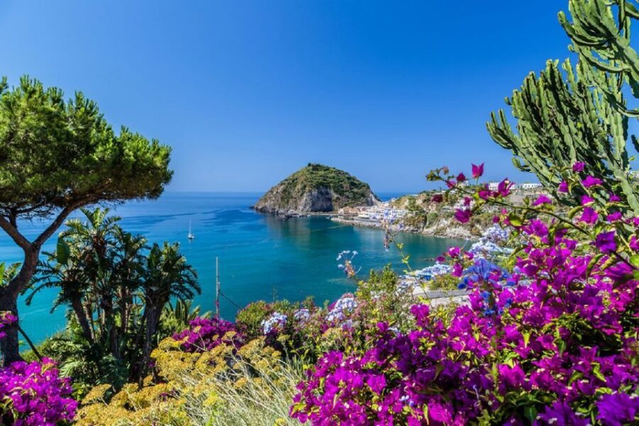 From Naples: Ischia Day Trip with Ferry Tickets and Lunch - Key Points You’ll Care About