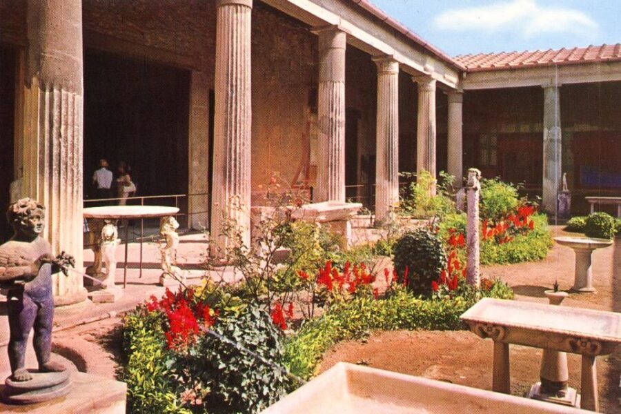 From Naples or Sorrento: Pompei Half-Day Tour - Lupanar and the arena: two sides of entertainment and street life