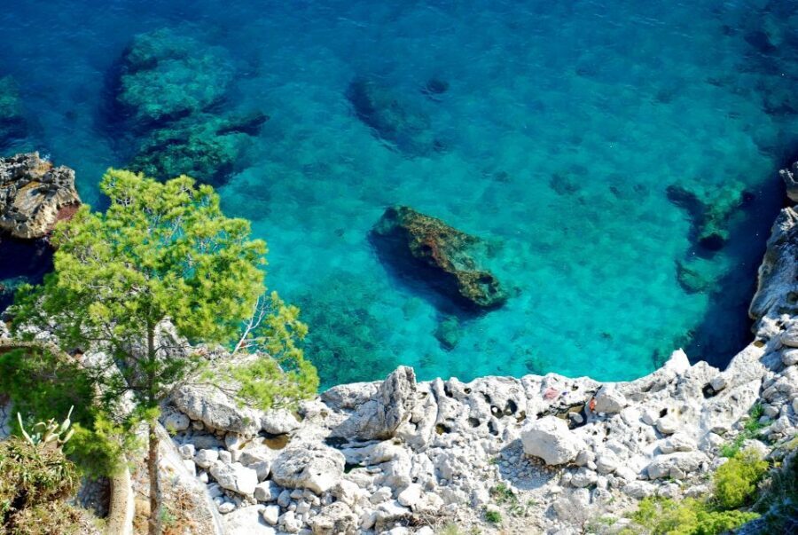 From Naples: Pompeii and Amalfi Coast Full-Day Private Tour - Driver and guide impact: names you might hear, traits to look for