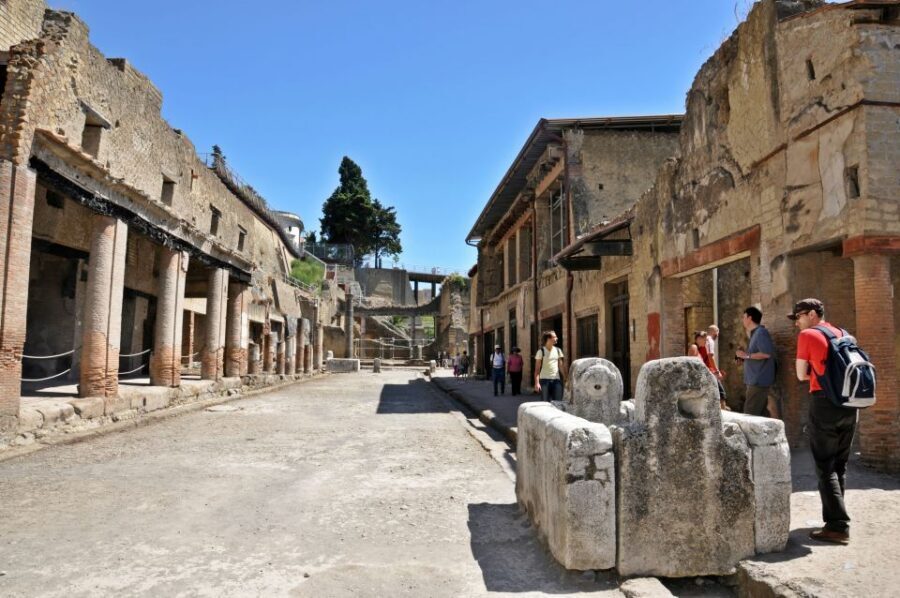 From Naples: Pompeii and Herculaneum VIP Tour with Lunch - The VIP value: how much $237.90 buys you in real time