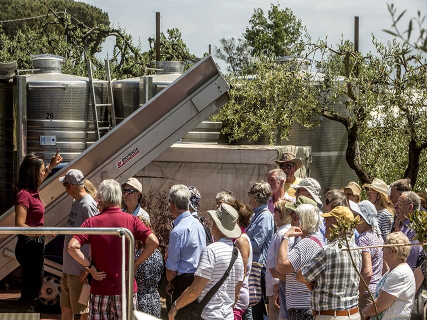 From Naples: Pompeii and Wine Tasting Tour with Lunch - The Naples-to-Pompeii Setup: Why Pickup Options Matter