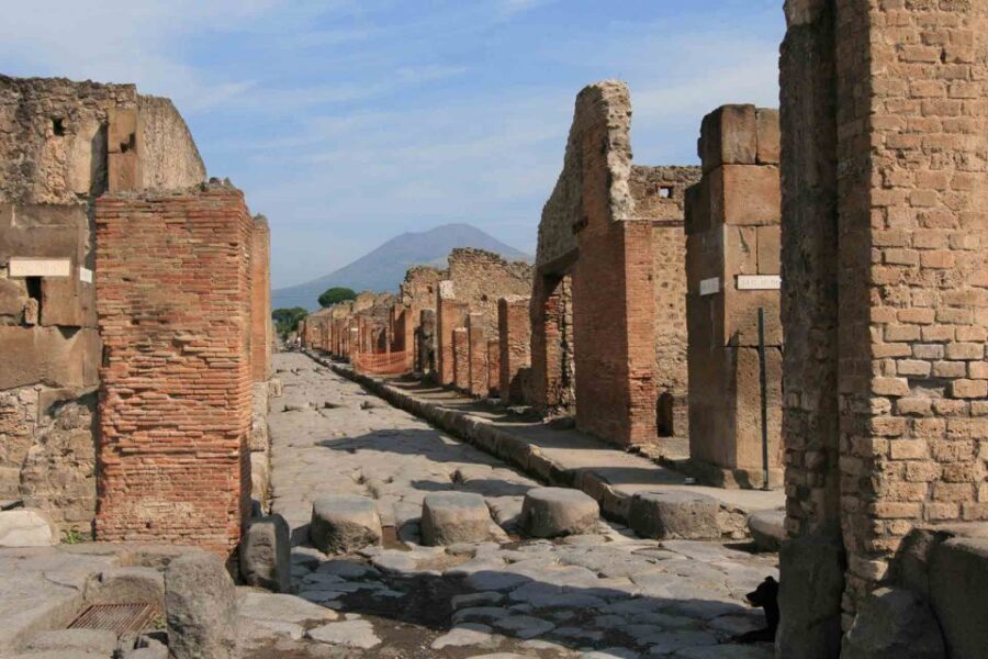 From Naples: Pompeii and Wine Tasting Tour with Lunch - Lunch on the Slopes: Mediterranean Food That Actually Makes Sense