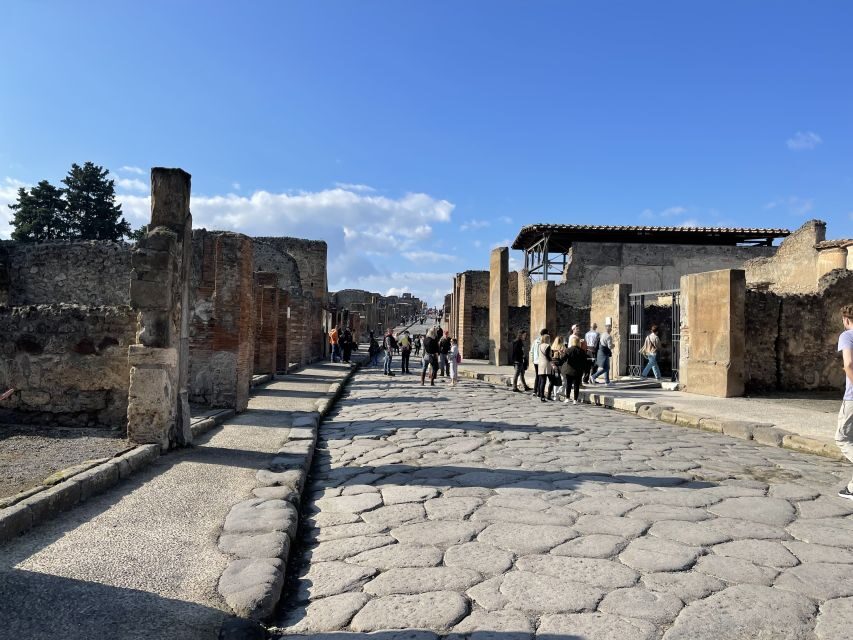 From Naples: Pompeii Guided Tour with Skip-the-Line Tickets - Key Highlights at a Glance