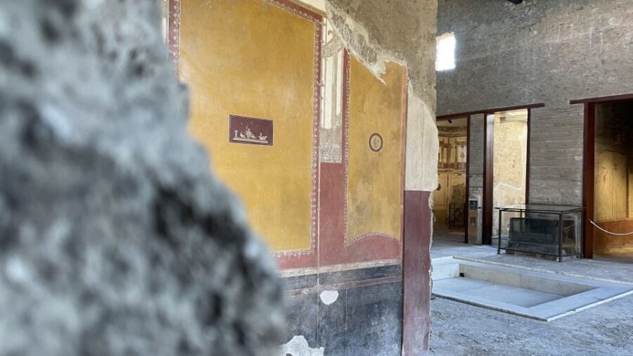 From Naples: Pompeii Guided Tour with Skip-the-Line Tickets - Pompeii Without the Line: Separate Entrance Turns Time Into Ruins