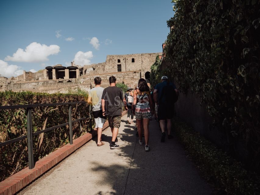 From Naples: Pompeii & Herculaneum with Archaeologist Guide - Meeting in Naples: Starhotels Terminus and a smooth start