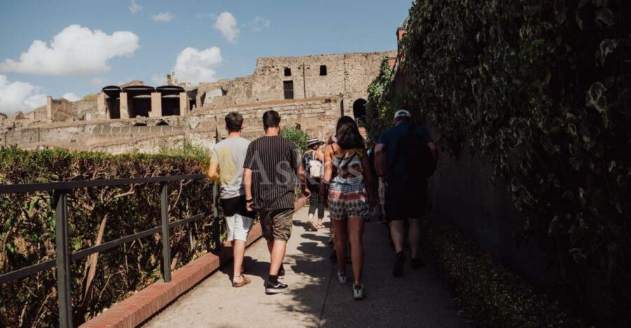 From Naples: Pompeii & Herculaneum with Archaeologist Guide - Price and value: what $168.79 buys you