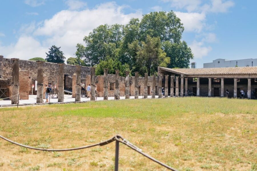 From Naples: Pompeii Ruins & Mount Vesuvius Day Tour - Price and value: is $120.84 per person worth it?