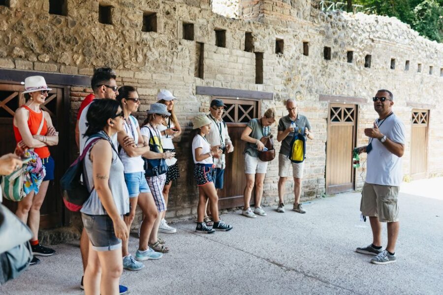 From Naples: Pompeii Ruins & Mount Vesuvius Day Tour - Naples to Pompeii: how the day actually moves