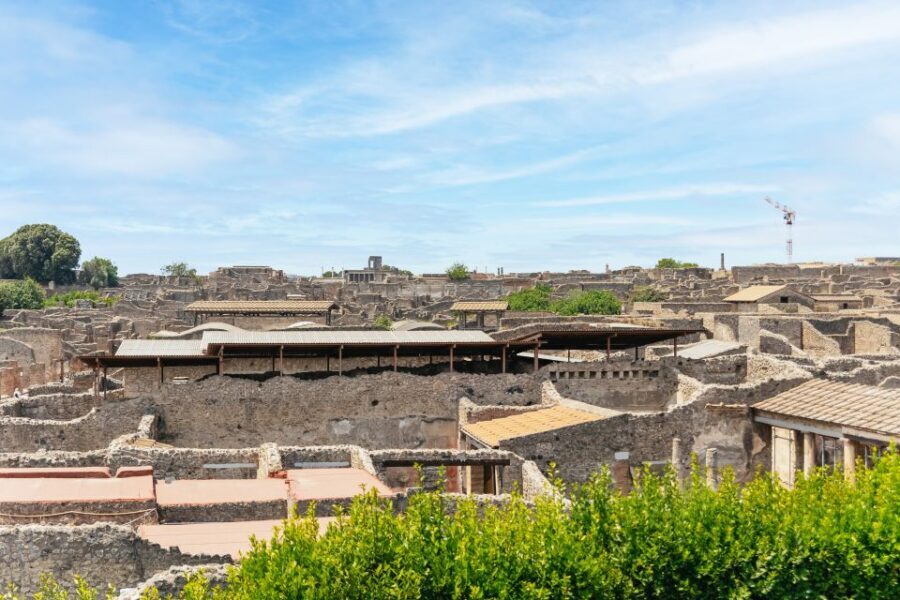 From Naples: Pompeii Ruins & Mount Vesuvius Day Tour - Mount Vesuvius: crater lip views and what the hike feels like