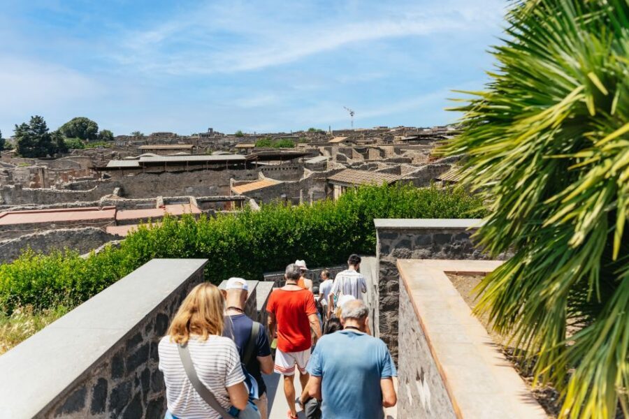 From Naples: Pompeii Ruins & Mount Vesuvius Day Tour - Guides and languages: getting the story in your language