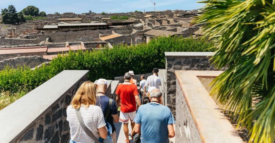 From Naples: Pompeii Ruins & Mount Vesuvius Day Tour - Transfers, comfort, and finding your bus without stress
