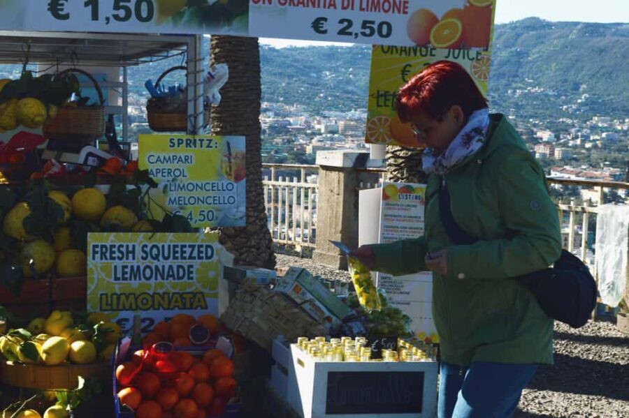 From Naples/Salerno: Group Tour to Positano, Amalfi, Ravello - Ravello’s Villa Gardens and Panoramic Terraces (Without Villa Tickets Included)