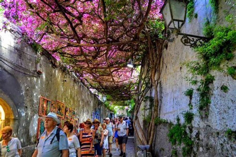 From Naples/Salerno: Pompeii, Sorrento, and Positano Tour - Cost and Value: Is It Worth $101.96?