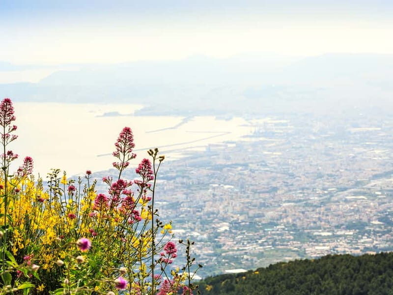 From Naples: Vesuvius Easy Tour - What You’re Really Buying: A Timed, Low-Stress Vesuvius Plan